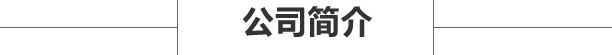 湖南巴士傳媒有限公司