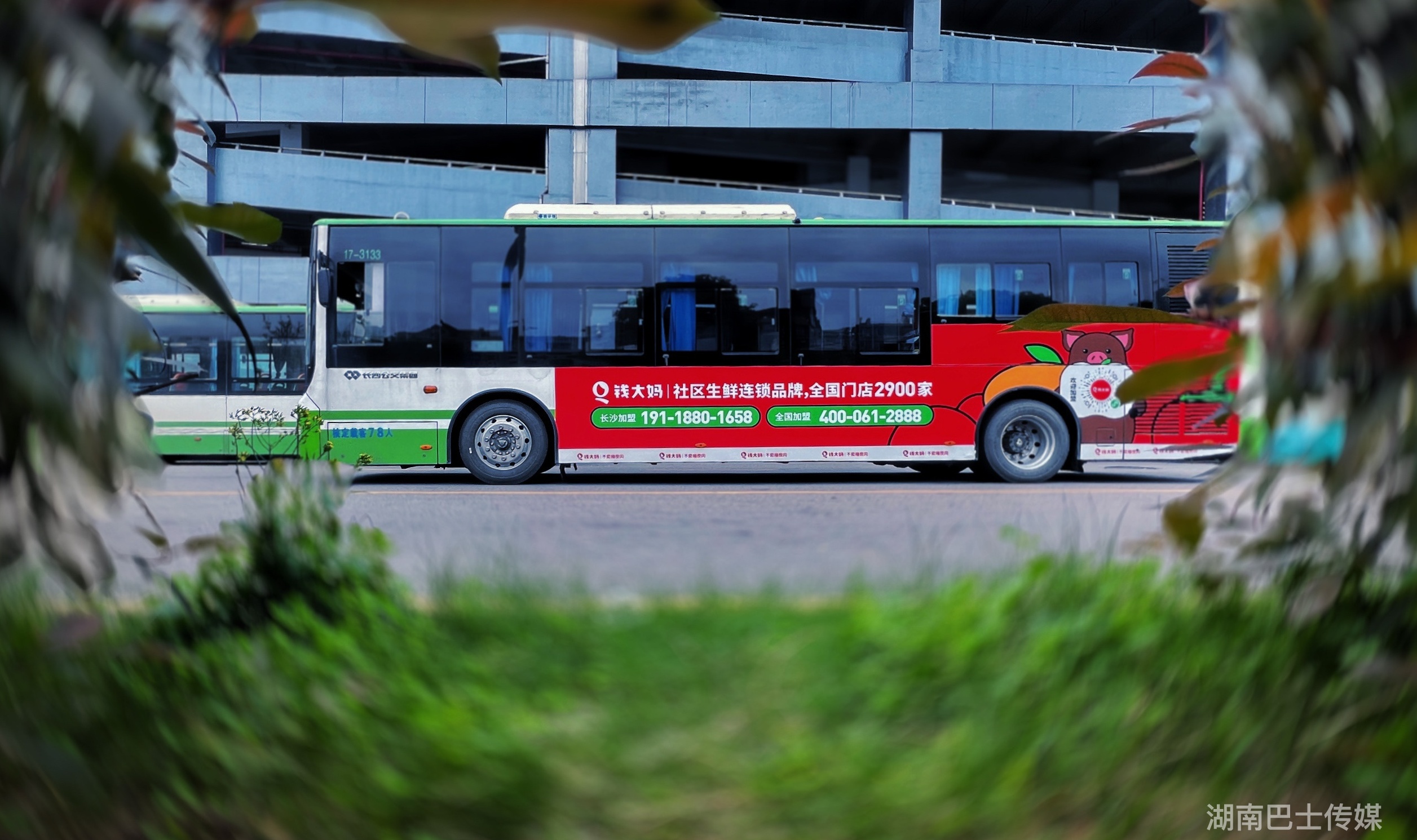 錢大媽廣告案例